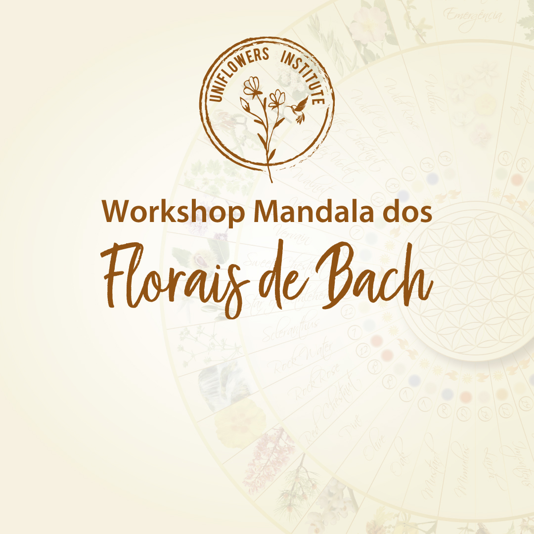 Workshop Mandala dos Florais de Bach